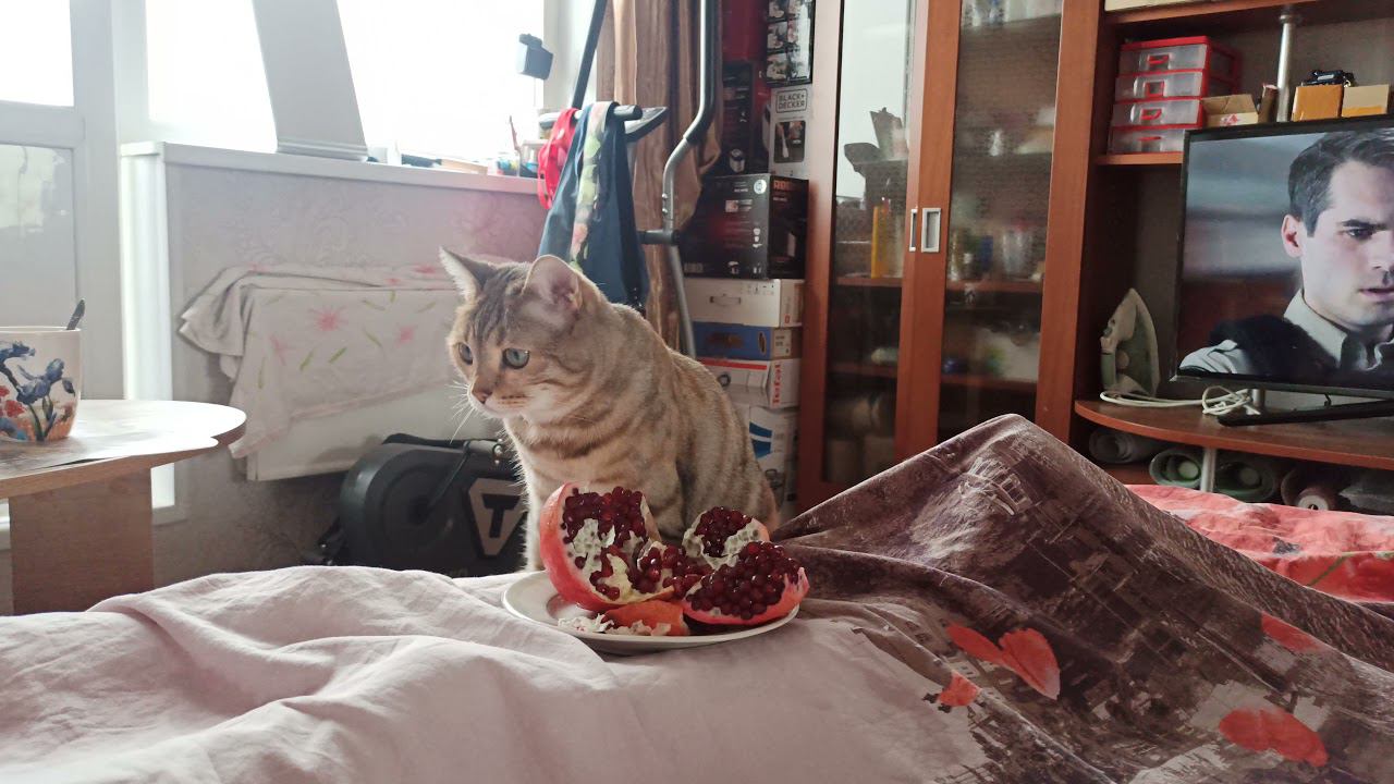 26 июня 2021 г. смотреть онлайн