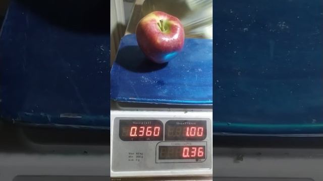 яблока сорт Ред чиф. смотреть онлайн