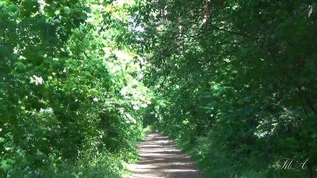 ♡ Высокая тоска звенит... смотреть онлайн