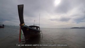 Как проверить информацию о самолете по номеру рейса: способы получения информации