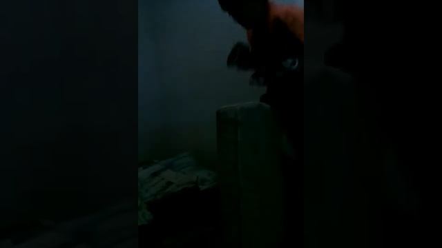 Как правелно драца вибаю смотреть онлайн