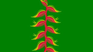 ФУТАЖ  - АНИМАЦИЯ - ХРОМАКЕЙ НА ЗЕЛЕНОМ ФОНЕ