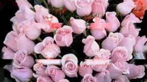 Любаша С Днём Рождения