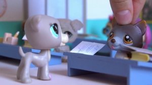 LPS : ШКОЛА ПО ПРИКОЛУ