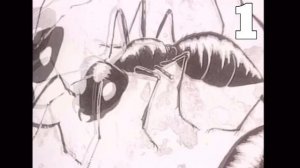 All Deaths in Midori (1992)