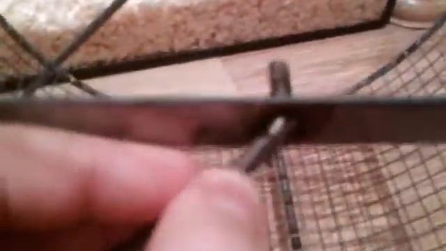 Вечер хомячка Бусинки! смотреть онлайн