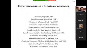 3 Роль фундаментальных исследований высших базидиомицетов в создании лекарственных препаратов и БАД