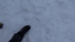 Беговые лыжи для начинающих, стоимость моего лыжного комплекта