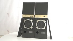 Акустическая система 35АСДС-017