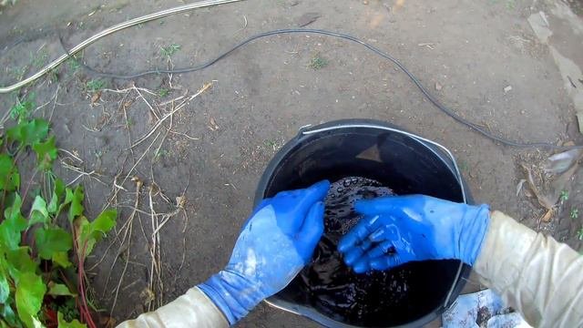 Чем Вылечить куст Огурца от грибковых болезней Хороший препарат для Огурцов без Срока ожидания