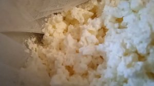 Сколько выходит творога из козьего молока?