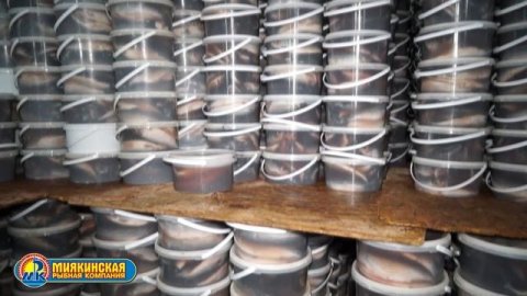 Рыбозавод Миякинская Рыбная Компания, рыба оптом .