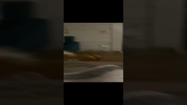 Ночной «дожор"