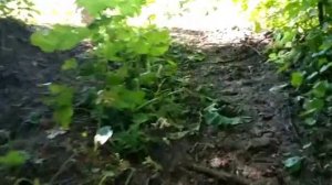 Самодельный квадроцикл из отечественных комплектующих.