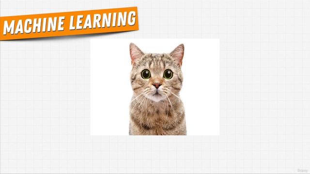 Section Overview | AI & Machine Learning with Python 2023
