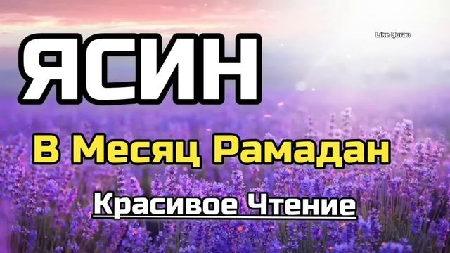 Сура Ясин сердце Корана❤ в месяц Рамадан - красивое чтение, успокаивает душу! смотреть онлайн