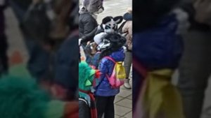 МОЯ ПЕРВАЯ ФУРРИ СХОДКА😳 ✅ фурри схожка по Пушкинской набережной🐺