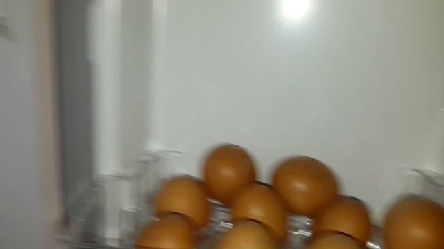 ПАРОДИЯ НА ТОЛЯНА. МАМА ПРЯЧЕТ ОТ МЕНЯ ЕДУ, Я ХОЧУ ЖИТЬ ОТДЕЛЬНО смотреть онлайн