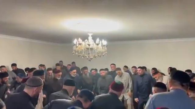 40 ночь у цечоевых смотреть онлайн