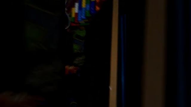 Как ухаживать за морскими свинками и котёнком смотреть онлайн