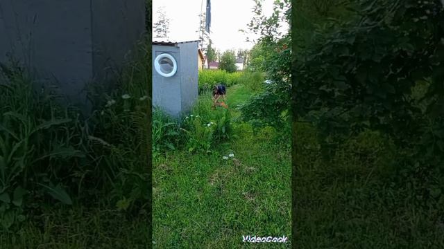 возвращение на дачу
