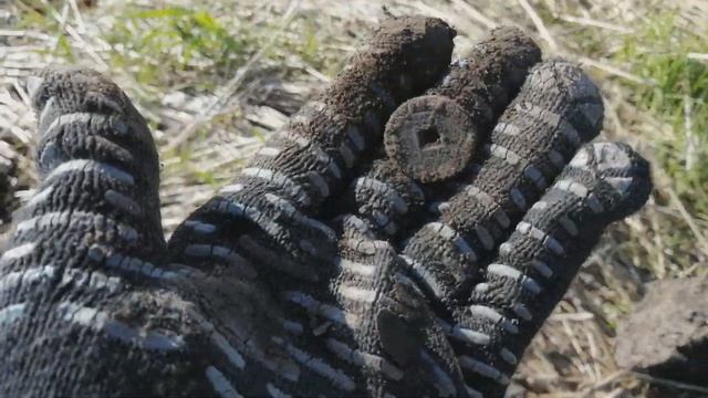 Поиск на маньчжурском клине смотреть онлайн