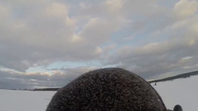 На снегоходе на Асафовы острова. смотреть онлайн