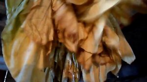 №53 Табак  Томление табака на шпагате  2