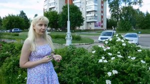 Шиповник - декор и подвой для роз ! Выращивание .