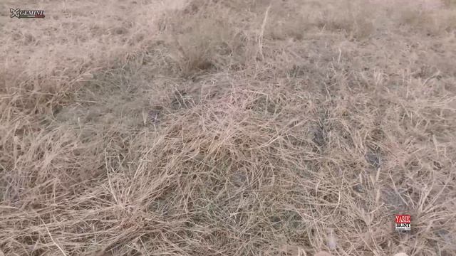 Охота в удовольствие