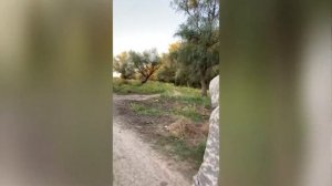 Река Хурдун, Икряное. Астраханская область, 15-19 сентября 2020