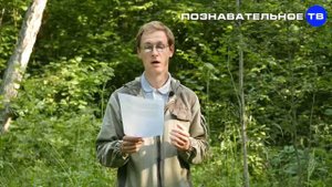 ИСКУССТВЕННАЯ ЛУНА