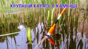 ЛОВЛЯ КРУПНОГО КАРАСЯ В КАМЫШЕ|ВОДЫ ВСЁ БОЛЬШЕ И БОЛЬШЕ.