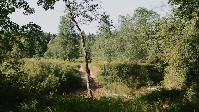 Автодром Белкино смотреть онлайн