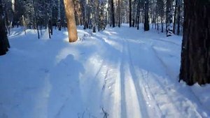 парафинить лыжи или нет?