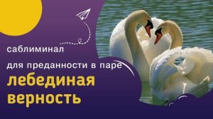 Мощный саблиминал ЛЕБЕДИНАЯ ВЕРНОСТЬ – любовь, доверие, преданность и верность в паре.