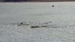 Отдых и рыбалка в Горном Алтае. Озеро Теньгинское