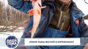 Зимняя рыбалка с Дмитрием Гусевым. Ловля рыбы весной в коряжнике