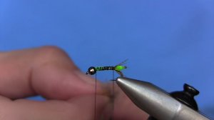 Fly Tying- Cased Caddis Nymph