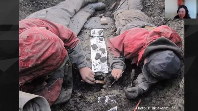 Frozen Fossils: A History of Life in Svalbard