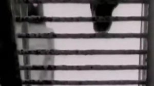 я ворона, я ворона