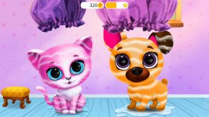 Помоем Кики и Фифи