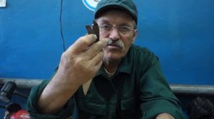 Ножи с клыками