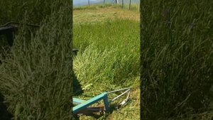 Самодельная косилка   Дагестан село Меусиша косит густую люцерну номер 89896711262 для продажи 2023