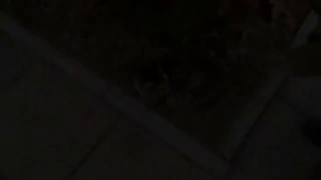 Санаторий "Парус" г. Анапа. Влог#3 КОТЫ И КОШКИ🐱 Санатория Анапы. смотреть онлайн