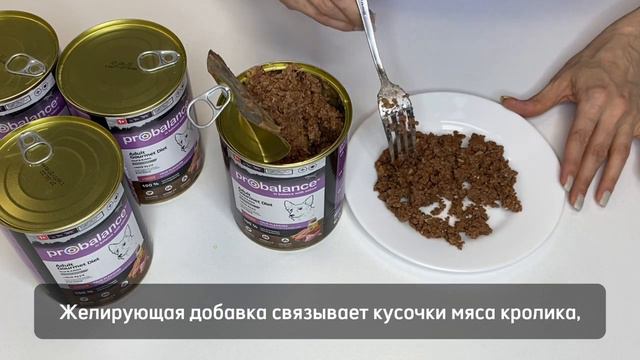 Секреты кормления четвероного гурмана. Probalance Gourmet
