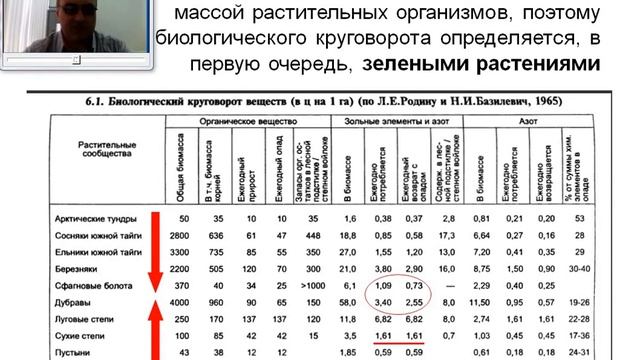 Видеолекция Почвообразовательный процесс ПОЧВОВЕДЕНИЕ