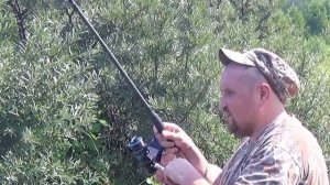 Серёгины озёры !!! По Дмитровскому шоссе, за бетонкой, ЦКАД.