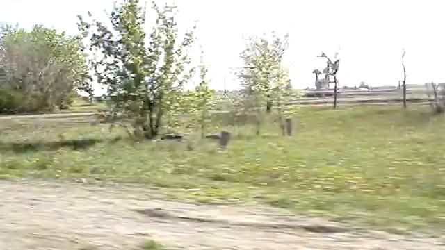 Из Альметьевска в Мактаму