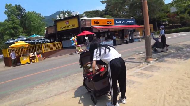 Vlog Korea: Сеульский зоопарк| Grand Seoul Zoo смотреть онлайн